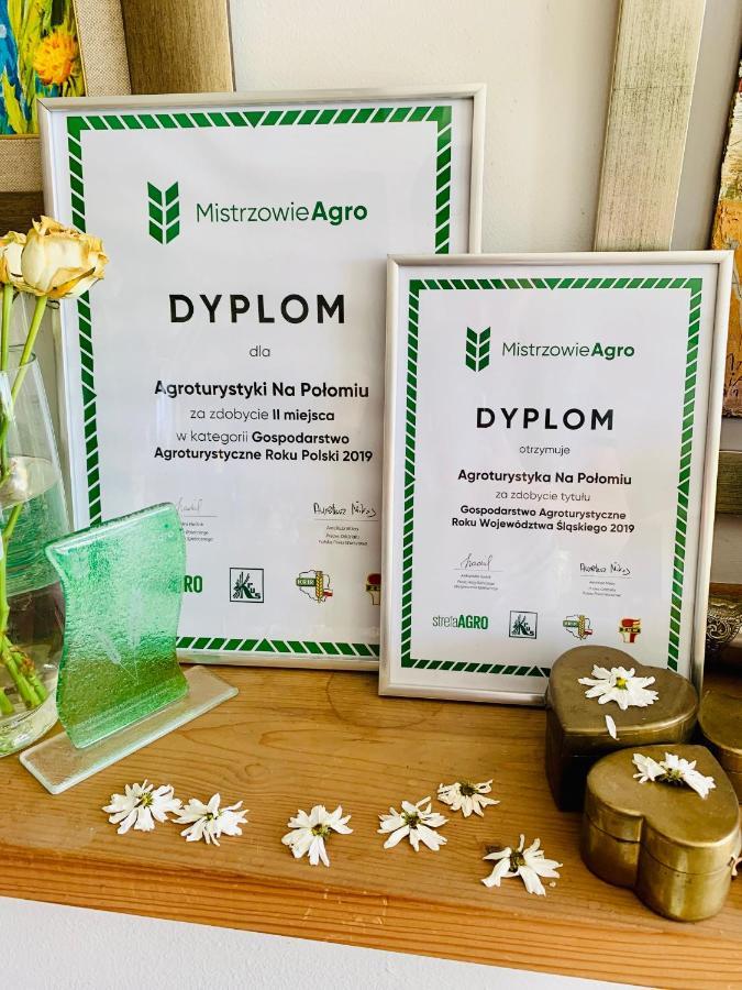 Agroturystyka „Na Polomiu” 伊斯泰布纳 外观 照片